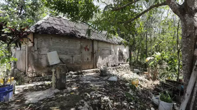 Les han prometido regularización y les han incumplido