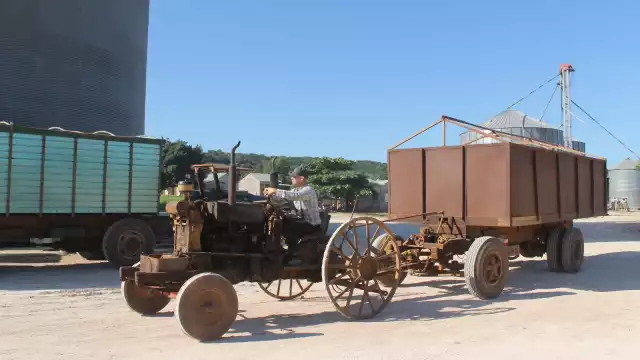 El estado de Campeche, durante el periodo 200-2020 perdió un promedio de 760 mil hectáreas