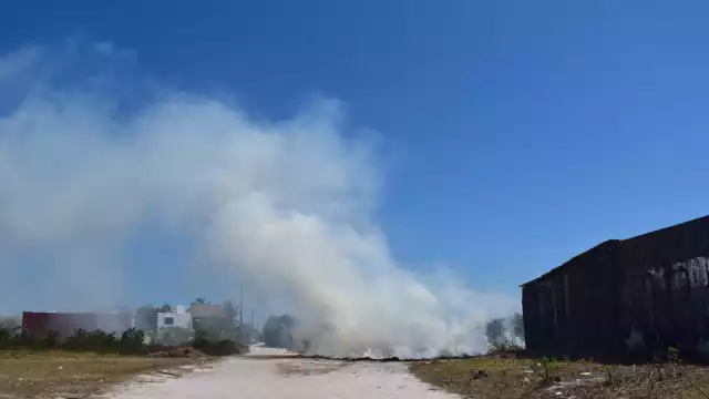El incendio se sofocó antes de que se propagara a zonas habitacionales
