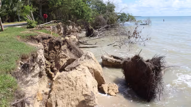 Al no tener una barrera natural contra a erosión, el desgajamiento de tierra del Boulevard Bahía en Chetumal aumenta