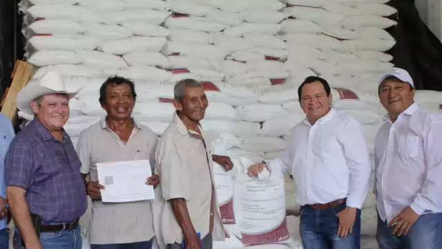 La entrega se realiza a través de 14 centros de distribución en varios municipos de Yucatán