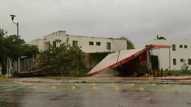 Algunos comerciantes tuvieron que dar fiado otros rentar plantas de energía para mantener sus productos