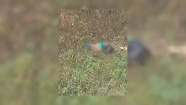 El motociclista quedó tendido entre la maleza a un lado de la carretera tras el accidente que le quitó la vida en la Zona Maya de Q.Roo