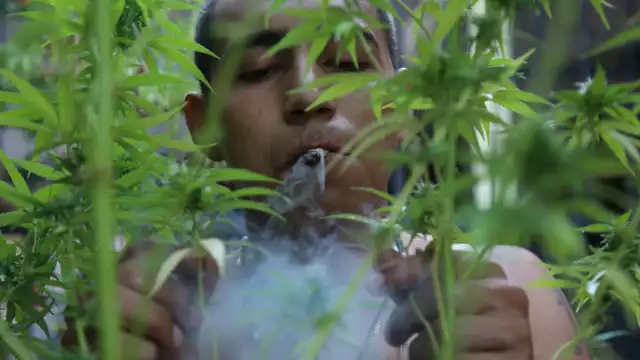 La Corte también enviará un exhorto al Congreso