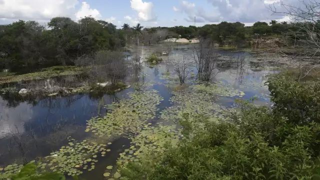 Hace dos años y medio que iniciaron los Guardaparques, de los cuales solo hay 77 en el estado