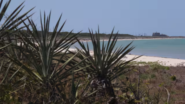 Detras del proyecto costero no sólo hay ecocidio, sino también un “enorme negocio”, dijo un diputado local priista