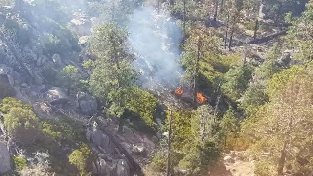 Campeche quedó debajo de Quintana Roo en el ranking de incendios forestales registrados en México