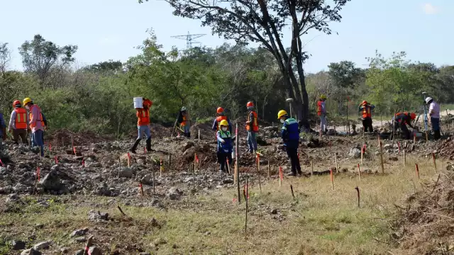 En estas vacantes se ofrece contrato por tiempo indefinido