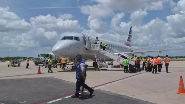 Mientras desalojaban al ave del vuelo, otra aeronave no pudo aterrizar en la pista