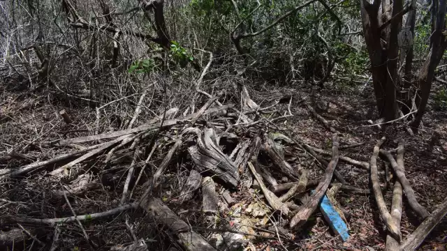 Fotos: Jesús López