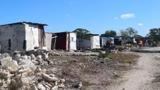 Vecinos de Flamboyanes aseguran que la presencia de serpientes y ratas les ha afectado