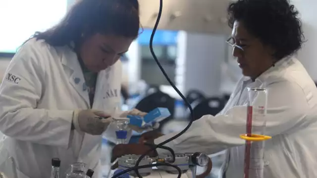 El sexo femenino “domina” en especialidades y maestrías, aunque aún se encuentran muy relegado en carreras de técnico superior y doctorado