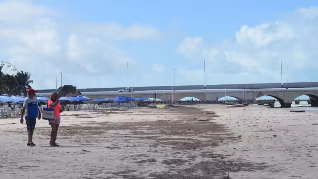 La costa de Progreso se llenó de sargazo previo al inicio del puente por 20 de noviembre