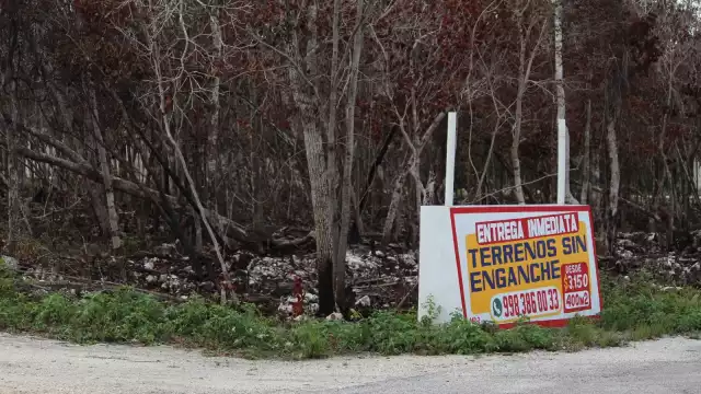 En Benito Juárez se inició un operativo para su detección, por carecer de un Plan de Desarrollo Urbano