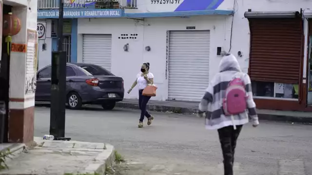 Diferentes programas sociales que se han aplicado contribuyen a prevenir los delitos