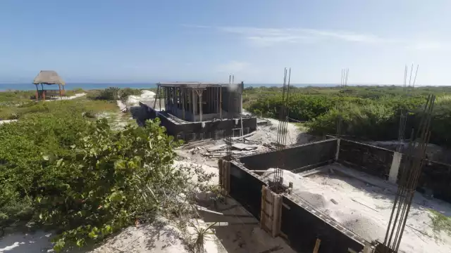 La empresa ha deforestado los árboles en el manglar de Chuburná