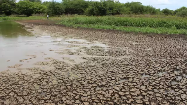 En la segunda quincena de noviembre, fueron 37 demarcaciones de la región peninsular con problemas por la falta de lluvia