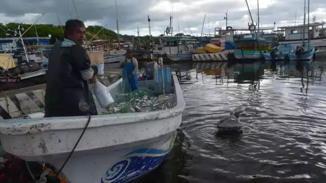 Son cinco pescadores reportados como desaparecidos en Yucatán