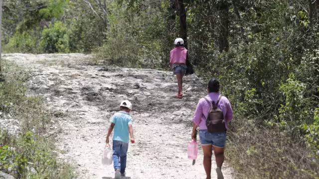 El 2014 fue el año con las cifras más altas y el 2020 con las más bajas, debido a la contingencia global