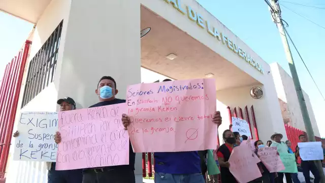 Se teme que sea reabierta la granja porcícola de Kekén en Sitilpech