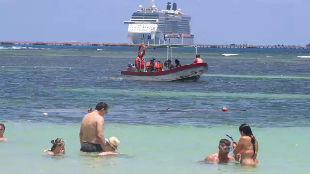 El Instituto de Oceanografía indicó que habría una reducción de sargazo en las costas de Quintana Roo en estos dos meses del 2021