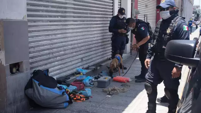 La mayoría de los decomisos se ha dado en compañías de paquetería