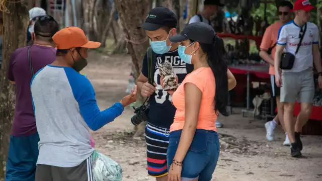 La cantidad de guías acreditados por la Secretaria de Turismo (SECTUR) es tal que se han formado pequeños grupos para “pelearse” los clientes