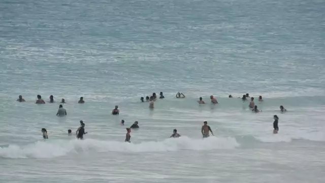 El sargazo es ya minimo en las playas de Cancún
