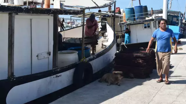 Hasta el momento, ninguna dependencia ha comunicado algún dato o seguimiento respecto a esta embarcación en altamar