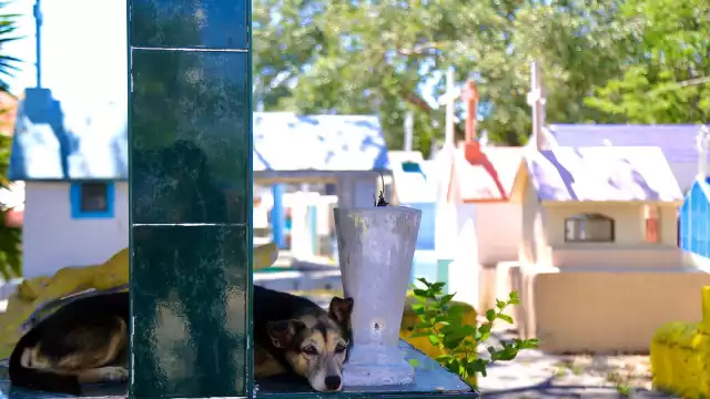 El panteón municipal tuvo pocas visitas esta mañana