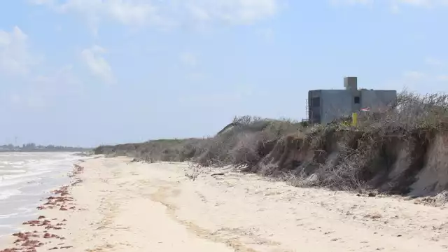 El 29 de enero de 1990, por el Acuerdo 35, publicado en el Diario Oficial de la Federación se delimitó la Reserva de El Palmar