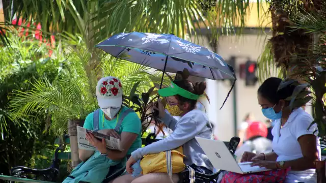 Las activistas exhortan a los diputados a que avalen la propuesta para acabar con la violencia intrafamiliar