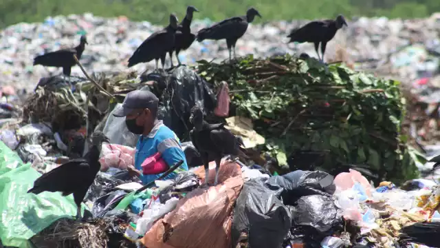 Don José Ángel, rodeado de zopilotes en en basurero de Chetumal