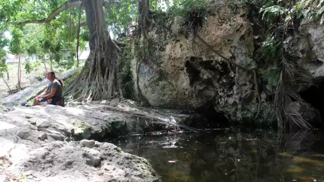 Los metales detectados hace daño al organismo humano
