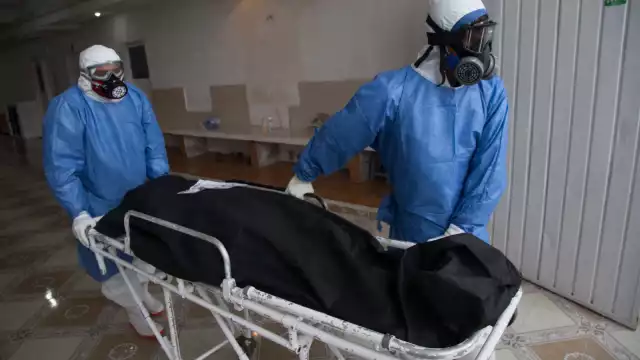 Los casos de COVID-19 continúan disminuyendo