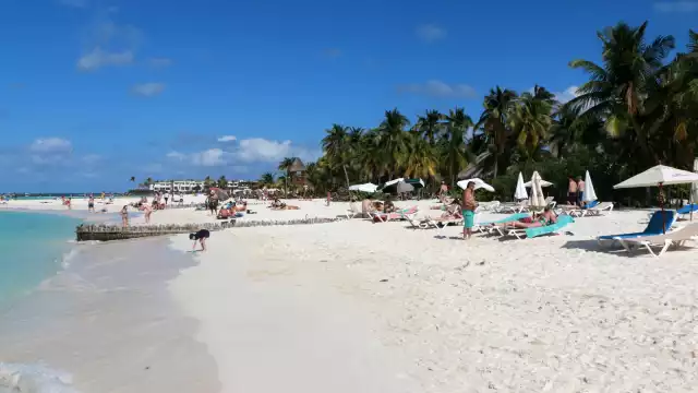 Se esperan importantes ingresos en esta temporada