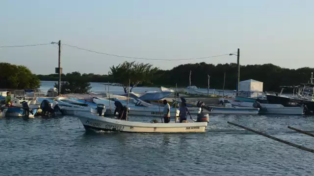 Una propuesta es crear una cooperativa entre los pescadores y privatizarlo