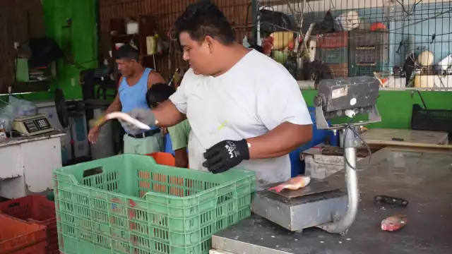 Actualmente enfrentan por el mal tiempo fuertes marejadas que difi cultan la actividad
