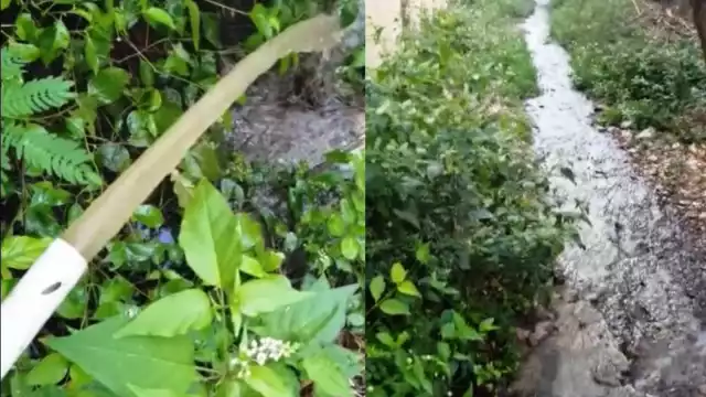 El derrame de aguas negras en Punta Sur se suma a los ocurridos en Isla Mujeres, que llegan a las playas y contaminan el mar