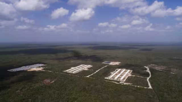 Magistrada desestima queja presentada por niños mayas de Homún por una mega granja de cerdos