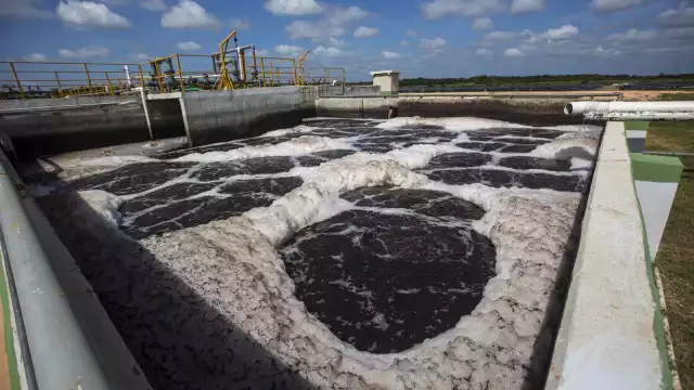 Las granjas porcícolas solo remueven la contaminación, pero no controlan el problema