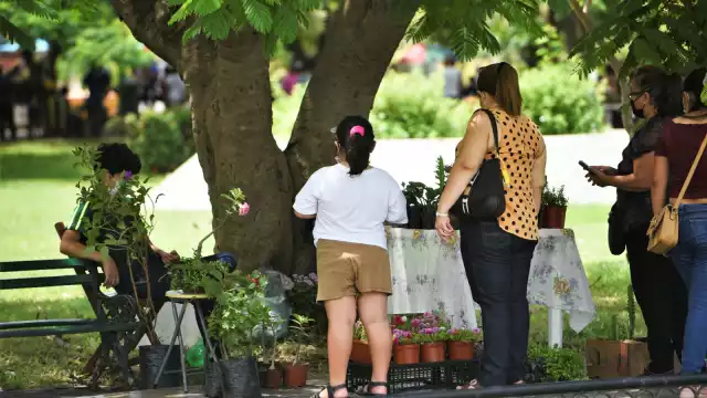 México se encuentra entre los países con más altos índices de estos desórdenes alimenticios