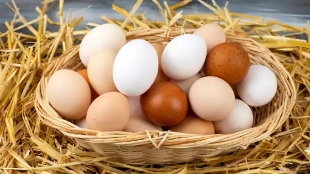 Una pieza de huevo podría costar entre 4 y 5 pesos