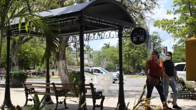 El líder de la asociación informó que serán 6 calesas eléctricas las que operarán en la capital yucateca