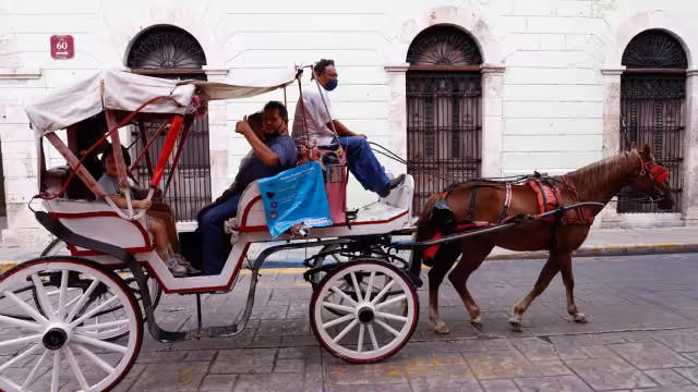 Se proponen mejorar las condiciones de las calesas