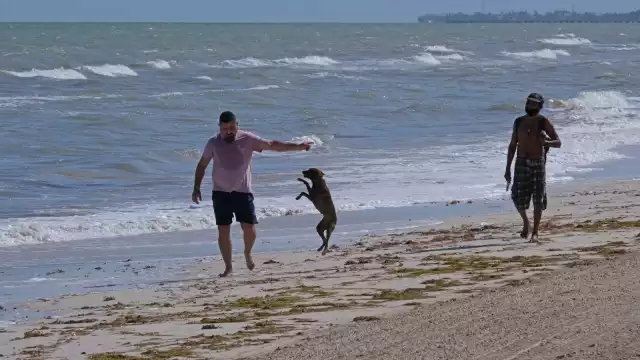 En el caso de los parques públicos, no podrán acceder a las áreas infantiles, pues estas continuarán cerradas como medida de protección a los menores. Foto: Archivo 
