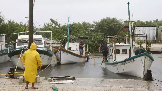 Conapesca exhortó a los empresarios a respetar la veda, no caer en compra furtiva y también cuidar la reproducción del crustáceo para obtener más capturas