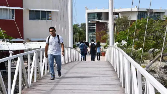 Algunos jóvenes informaron que para controlar su ansiedad consumían comida chatarra