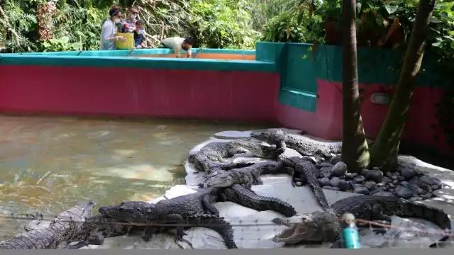 La Azcarm sostendrá una reunión con la FGR