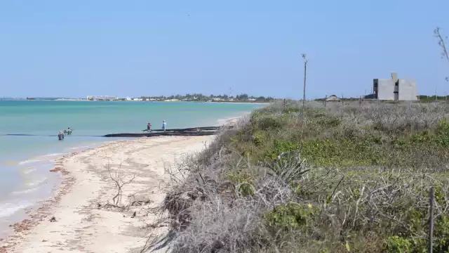 El Laboratorio de Resiliencia Costera asegura que hay una “pobre salud del ecosistema”